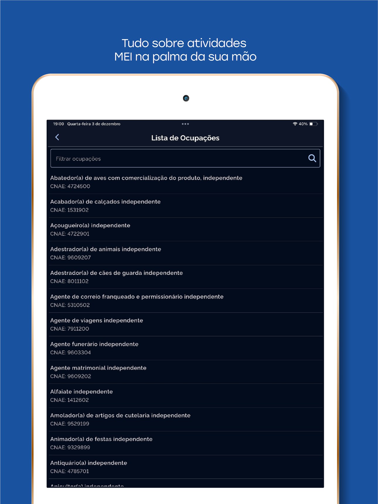 Lista de ocupações MEI no app oficial, com nome da atividade e código CNAE