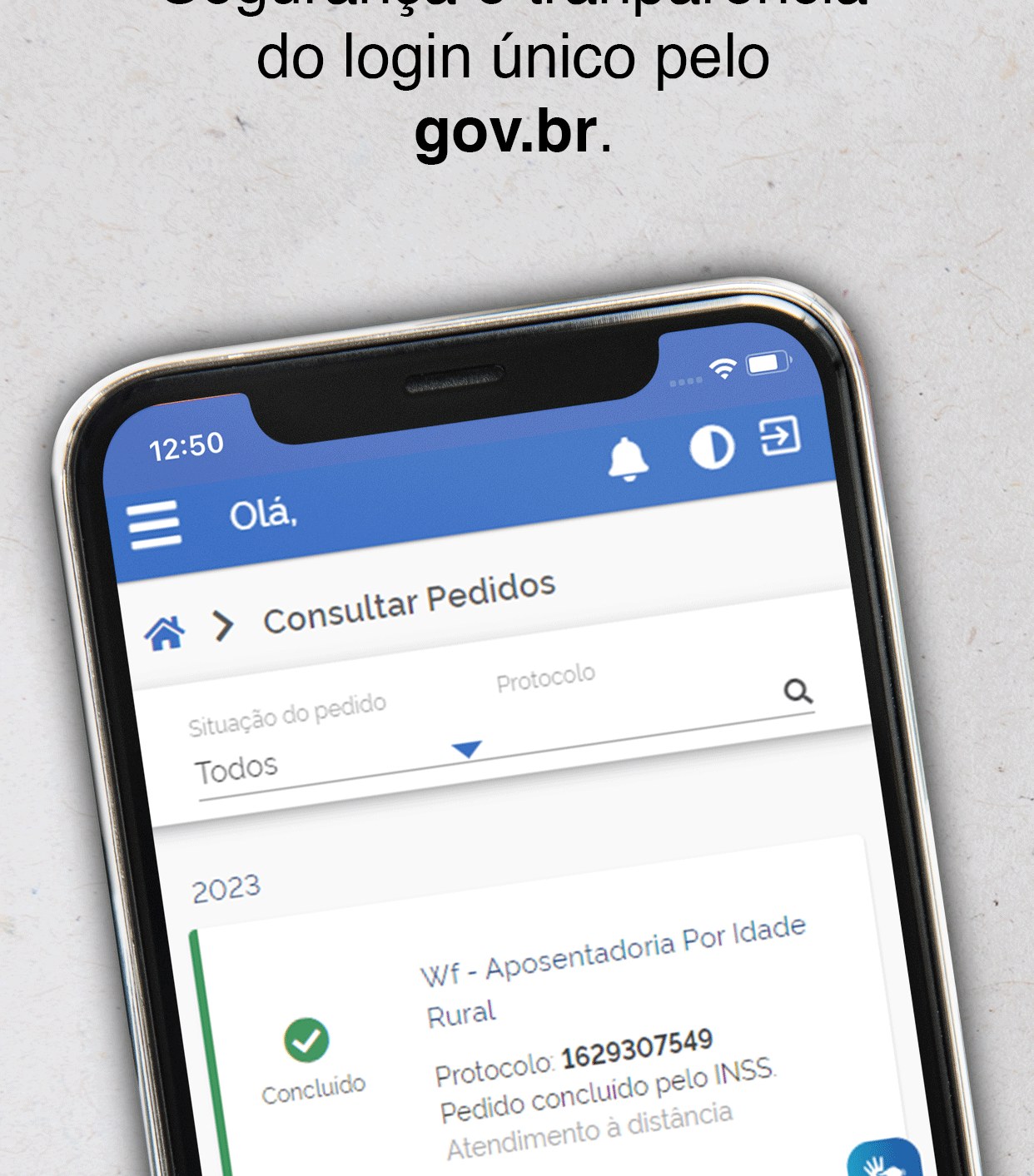 Tela Consultar Pedidos do Meu INSS, com protocolo de aposentadoria e status Concluído